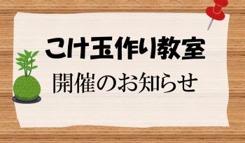 「こけ玉作り教室」開催のお知らせ